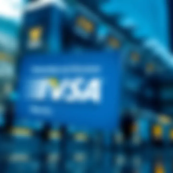 Magnificent Ownership and Structure of Visa Inc.