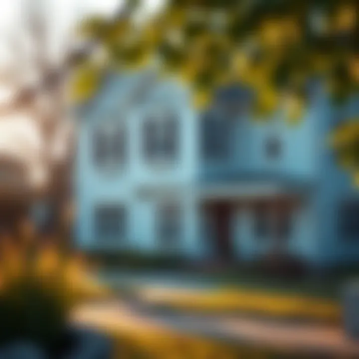 Magnificent The Optimal Approaches to Home Financing