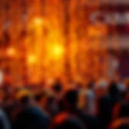 Conceptual representation of crowd funding dynamics