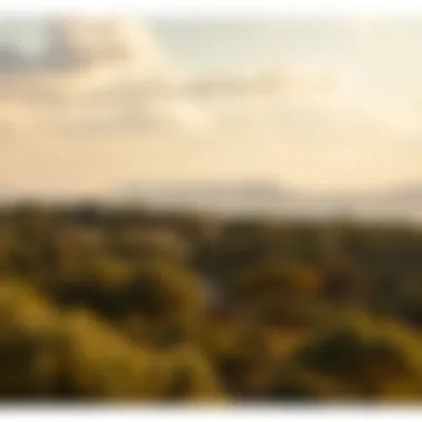 Challenges faced by social networks in the digital landscape