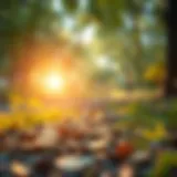 The Path to Financial Growth A conceptual illustration of financial growth