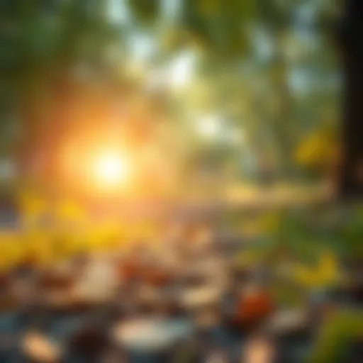 The Path to Financial Growth A conceptual illustration of financial growth