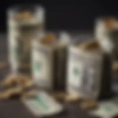 Structure of Cash Account Pension Plans Illustration depicting the structure of cash account pension plans