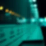 Visual representation of immediate annuity payment timelines